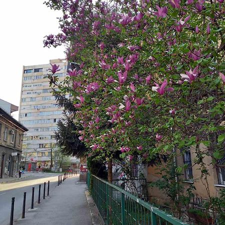 Hansa Apartment Sarajevo Buitenkant foto